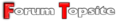 ftlogo2.png